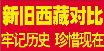 山东百姓要闻爆料视频最新,最新视频揭露惊人真相！